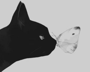 kitty cat and butterfly